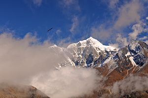 Eagle Over Himalayas